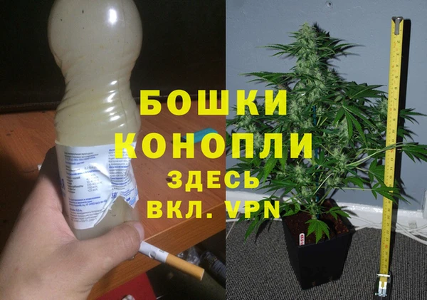 COCAINE Бородино